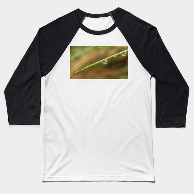 Morning Dew on Grass Baseball T-Shirt by mariola5